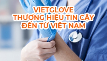 Vietglove Thương Hiệu An Toàn Và Tin Cậy Đến Từ Việt Nam 